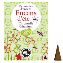 http://www.artdevie.net/153-thickbox_default/pyramides-encens-ete.jpg