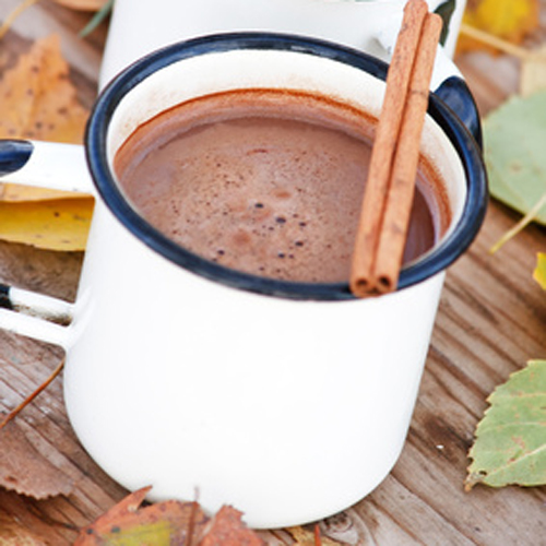 CHOCOLAT CHAUD EPICE AUX FLEURS D'EPICES TCHAI LATTE